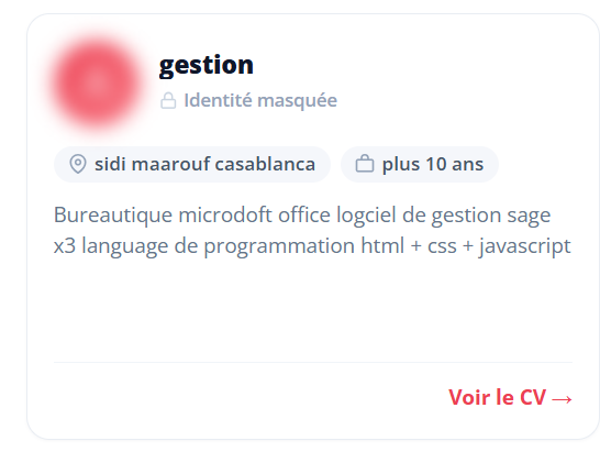 Dans la CVthèque, votre profil s’affiche avec la mention « Identité masquée »